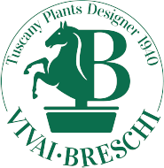 14 VivaiBreschi
