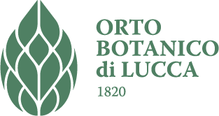 15 OrtoBotanico